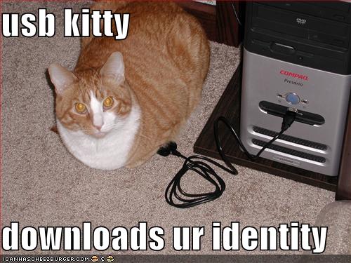 Lolcat Identity picture
